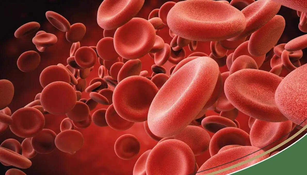 சிறுநீரகம்