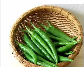 பச்சைமிளகாய்