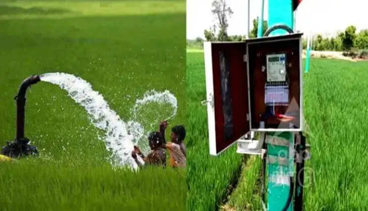மின் இணைப்பு விவசாயி மோட்டார் பம்புசெட்