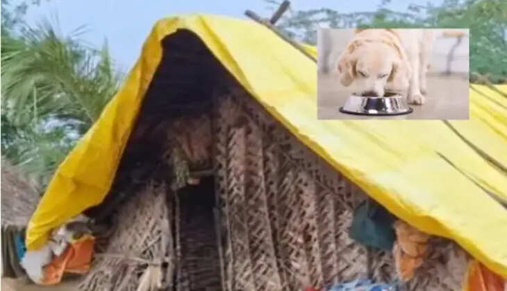 நாய்க்கு வைத்த இறைச்சியை சாப்பிட்ட குழந்தை பலி
