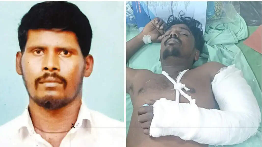 நெல்லை