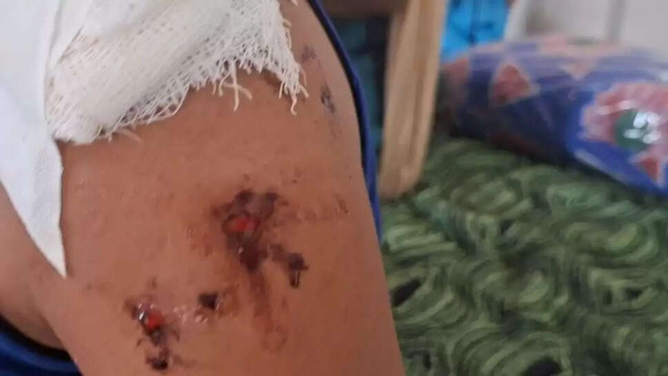 மோகன் குமார்