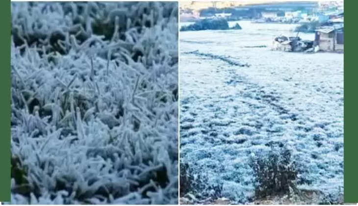 ஊட்டி உறைபனி