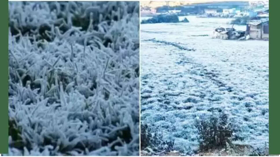 ஊட்டி உறைபனி