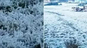 நீலகிரி