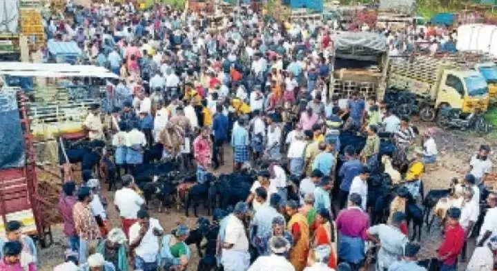 அய்யலூர் ஆட்டு சந்தை