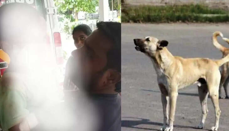 குழந்தையை கடித்த வெறிநாய்