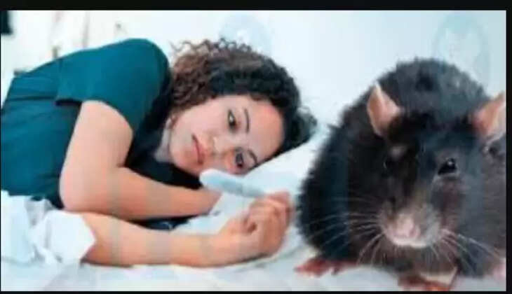 எலி காய்ச்சல்