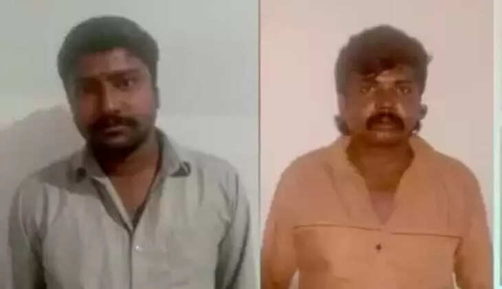 பாலியல்