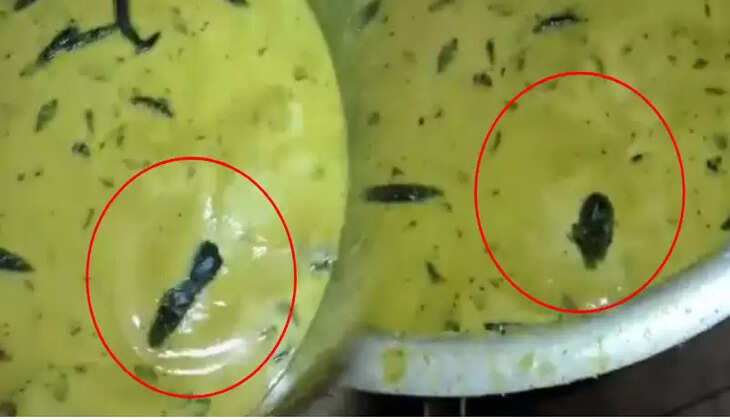 சட்னியில் எலி