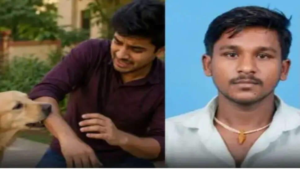 நாய்க்கடி