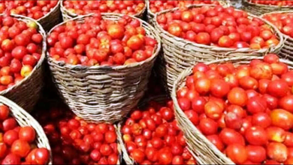 தக்காளி