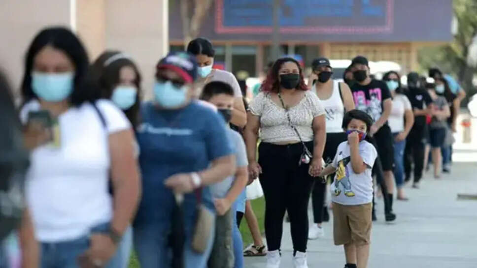 சிகாடா கொரோனா