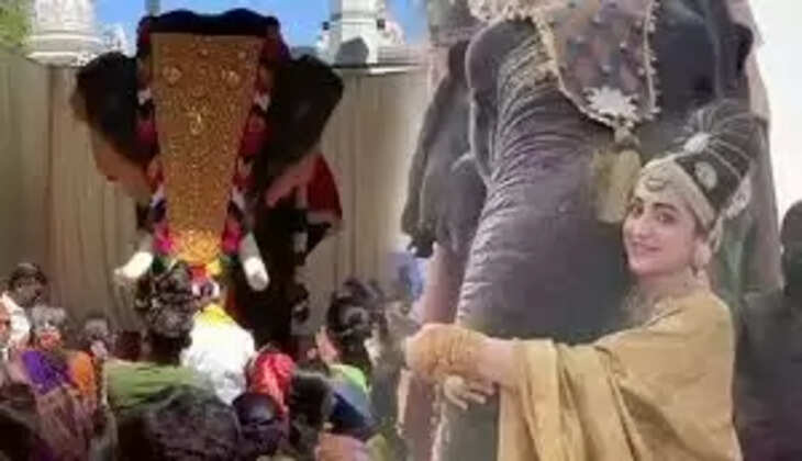 இயந்திர யானை