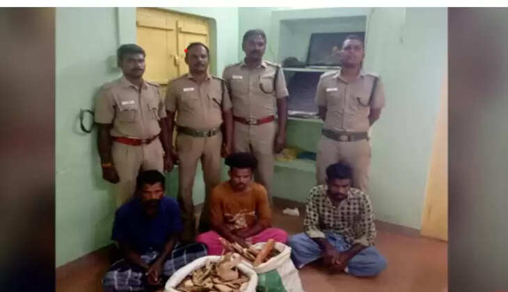 வனத்துறை