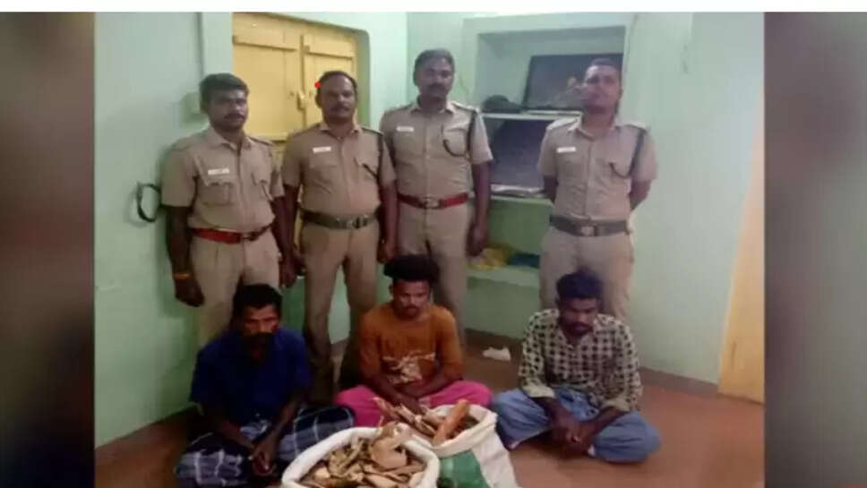 வனத்துறை