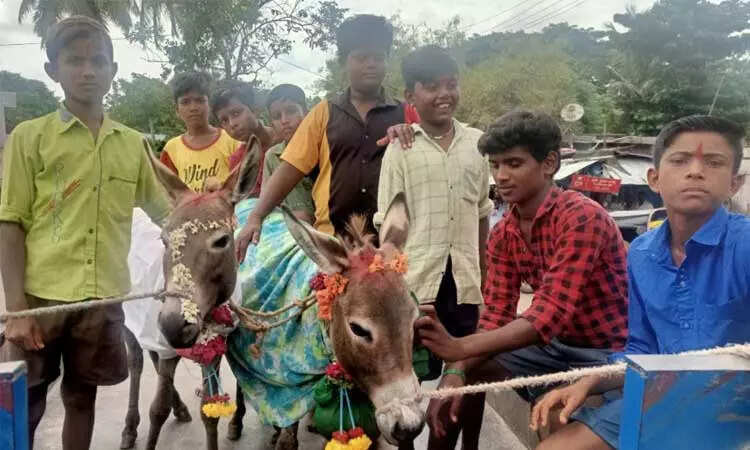 கழுதைக்கு திருமணம்