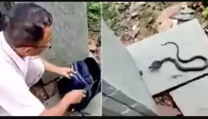 வாஷிங் மெஷினில் பாம்பு