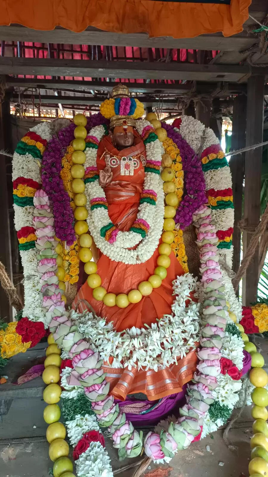 சங்கரன்கோவில்