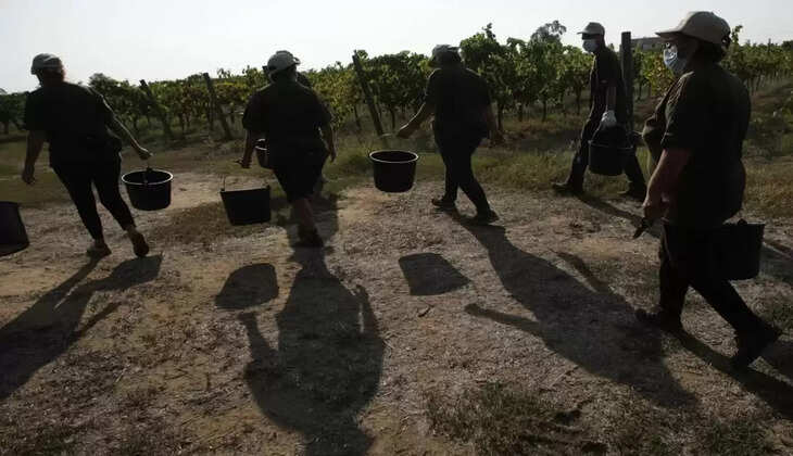 அடிமைகள்