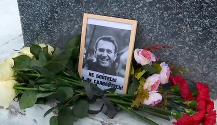 தவளை விஷம்