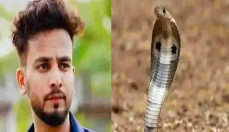 பாம்பு பார்ட்டி