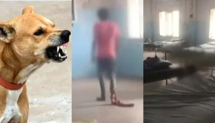 நாய்கடி