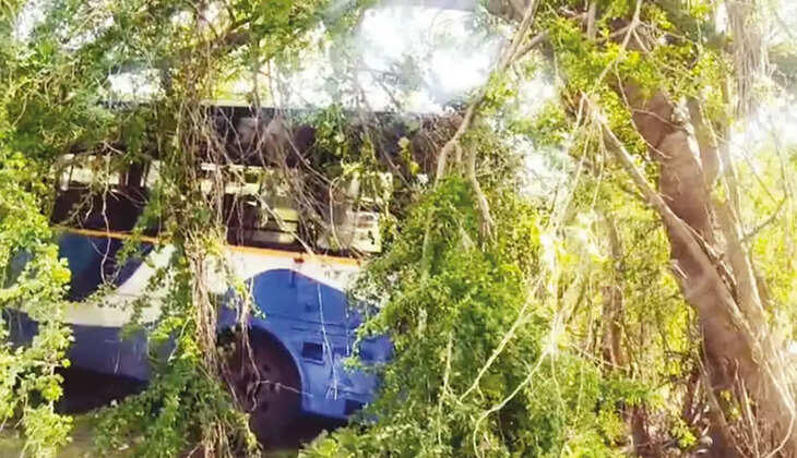 மரத்தில் விபத்து பேருந்து