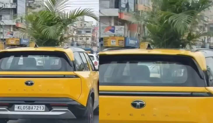 சன்ஃபரூப்