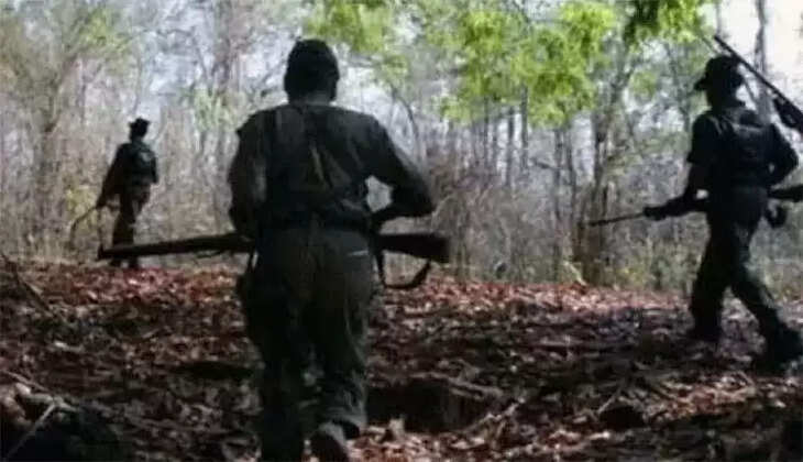 நக்சலைட்டுகள் 