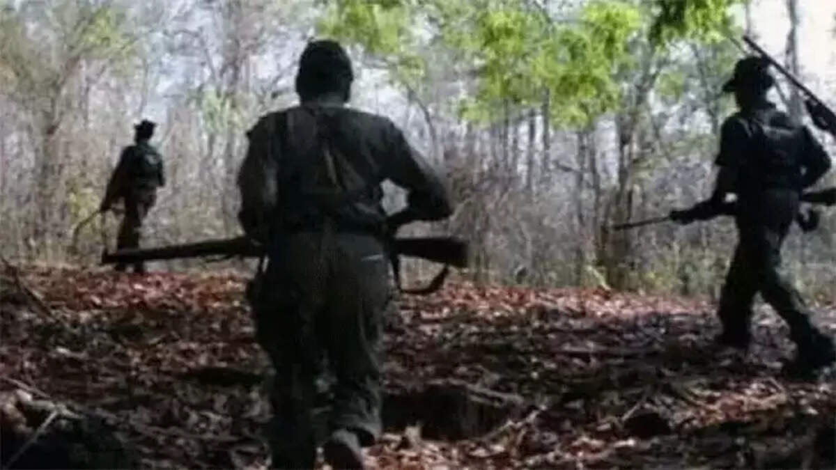 நக்சலைட்டுகள் 