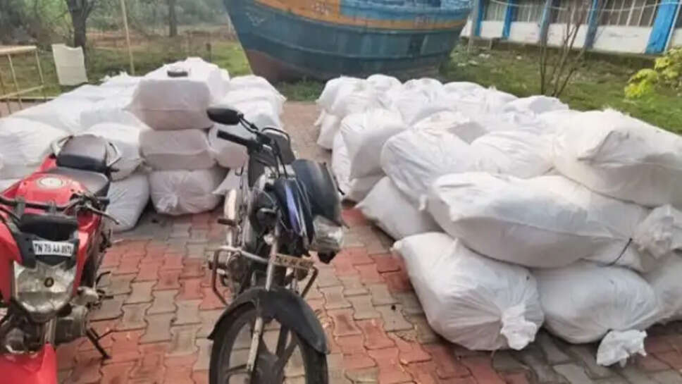  பீடி இலைகள்