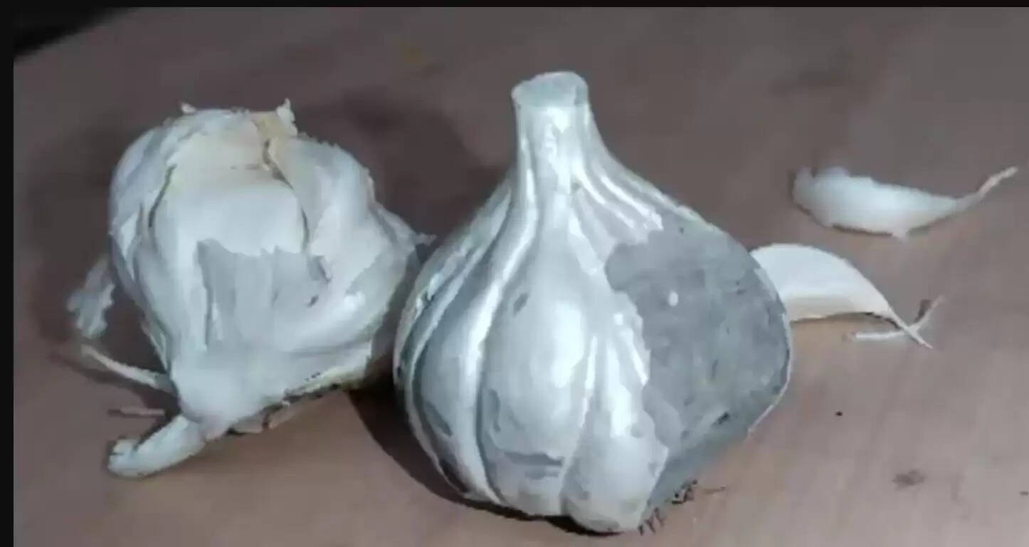 சிமெண்ட் பூண்டு