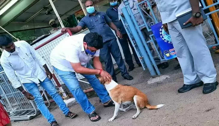 நாய் பிடிஆர்