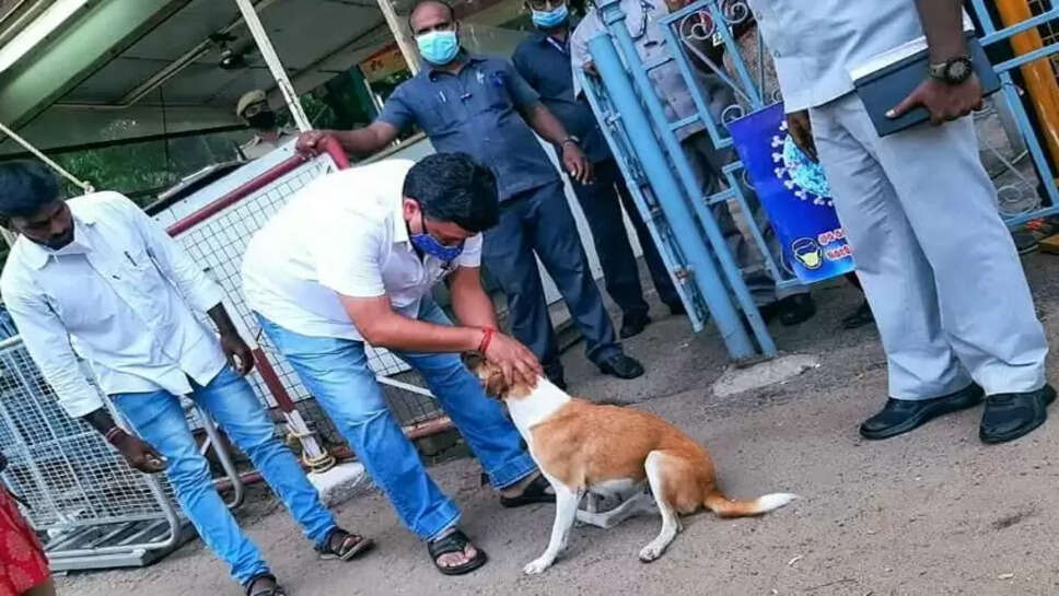 நாய் பிடிஆர்