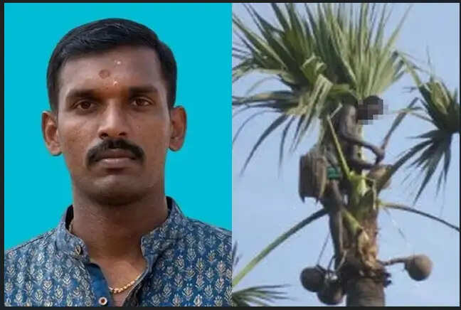 தென்காசி