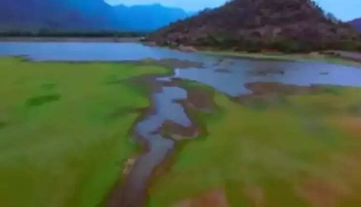 கூமாபட்டி