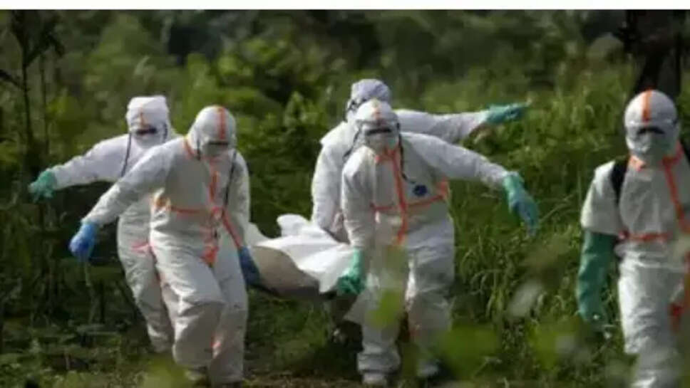 காங்கோ காய்ச்சல்