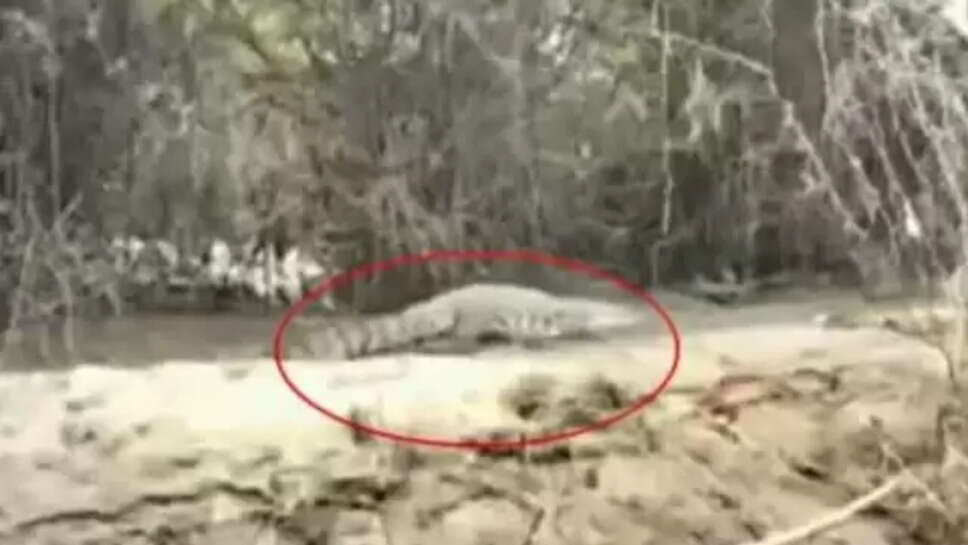 சின்னம்மா 