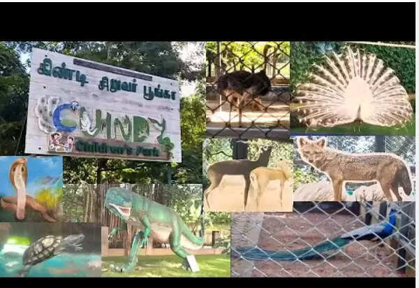 கிண்டி சிறுவர் பூங்கா