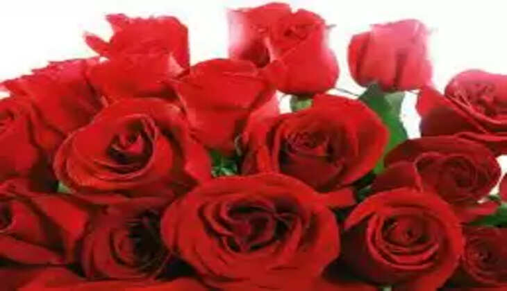 காதலர் தினம்