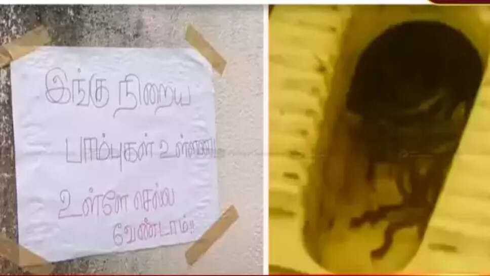 கழிவறை பாம்பு