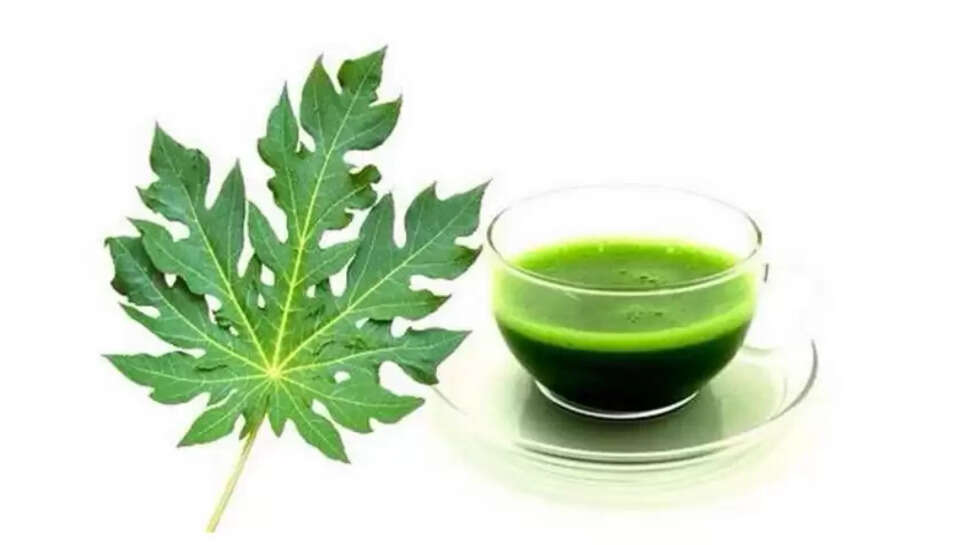 நில வேம்பு கசாயம்