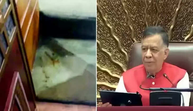 பான் மசாலா