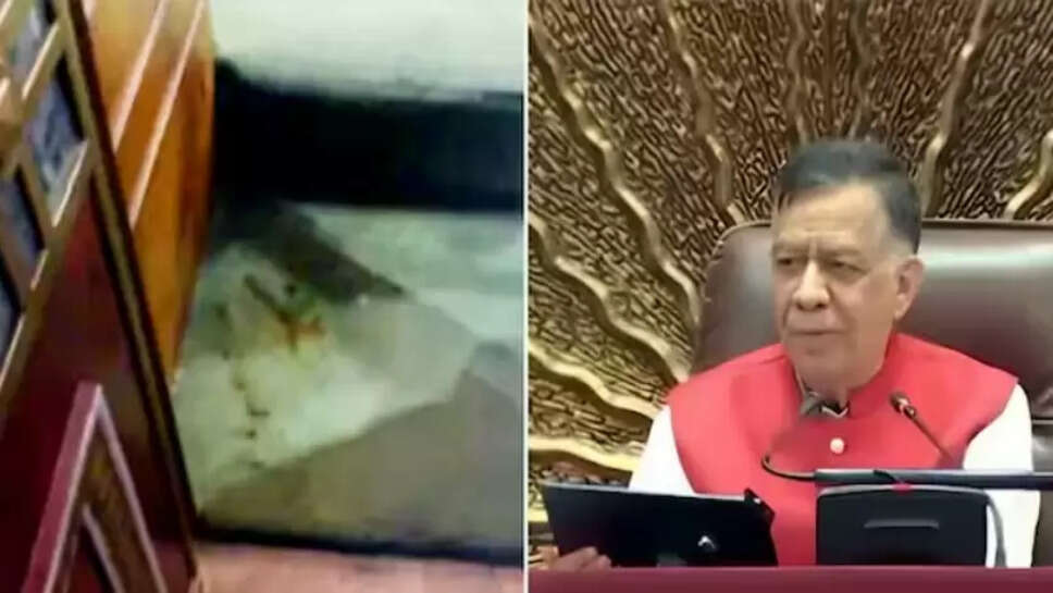 பான் மசாலா