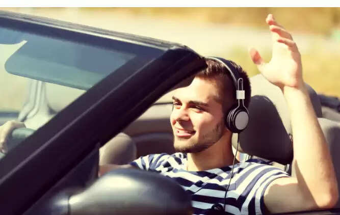 வாகன ஓட்டி