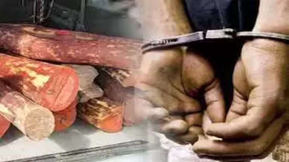 செம்மரம்