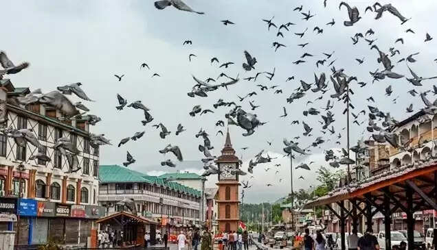 இந்தியா - பாகிஸ்தான் இடையே போர் நிறுத்தத்தைத் தொடர்ந்து காஷ்மீரில் இயல்பு நிலை திரும்பியது!