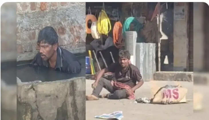 தேனீக்கள்