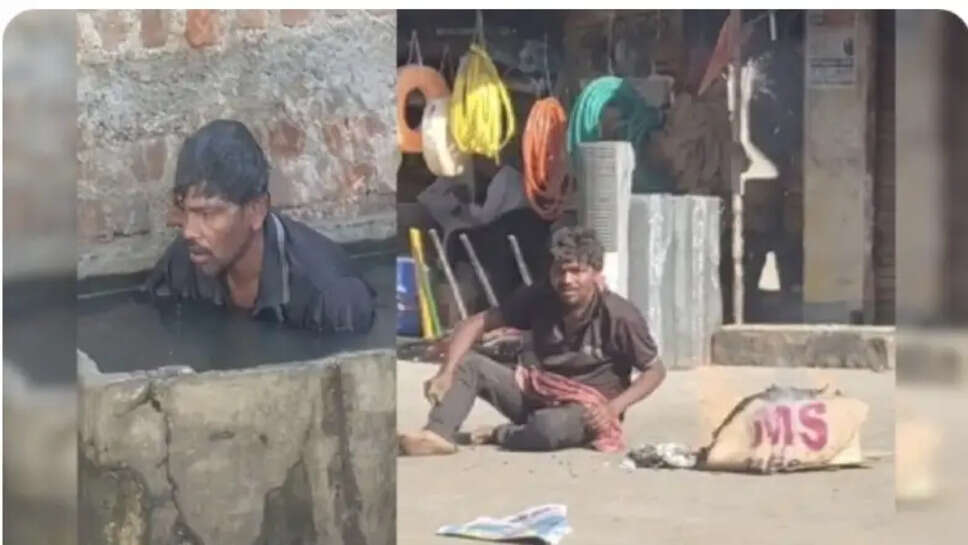 தேனீக்கள்